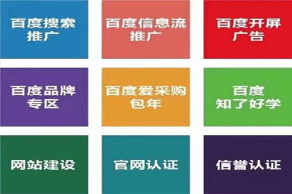 百度推广案例：成功打造行业领军品牌